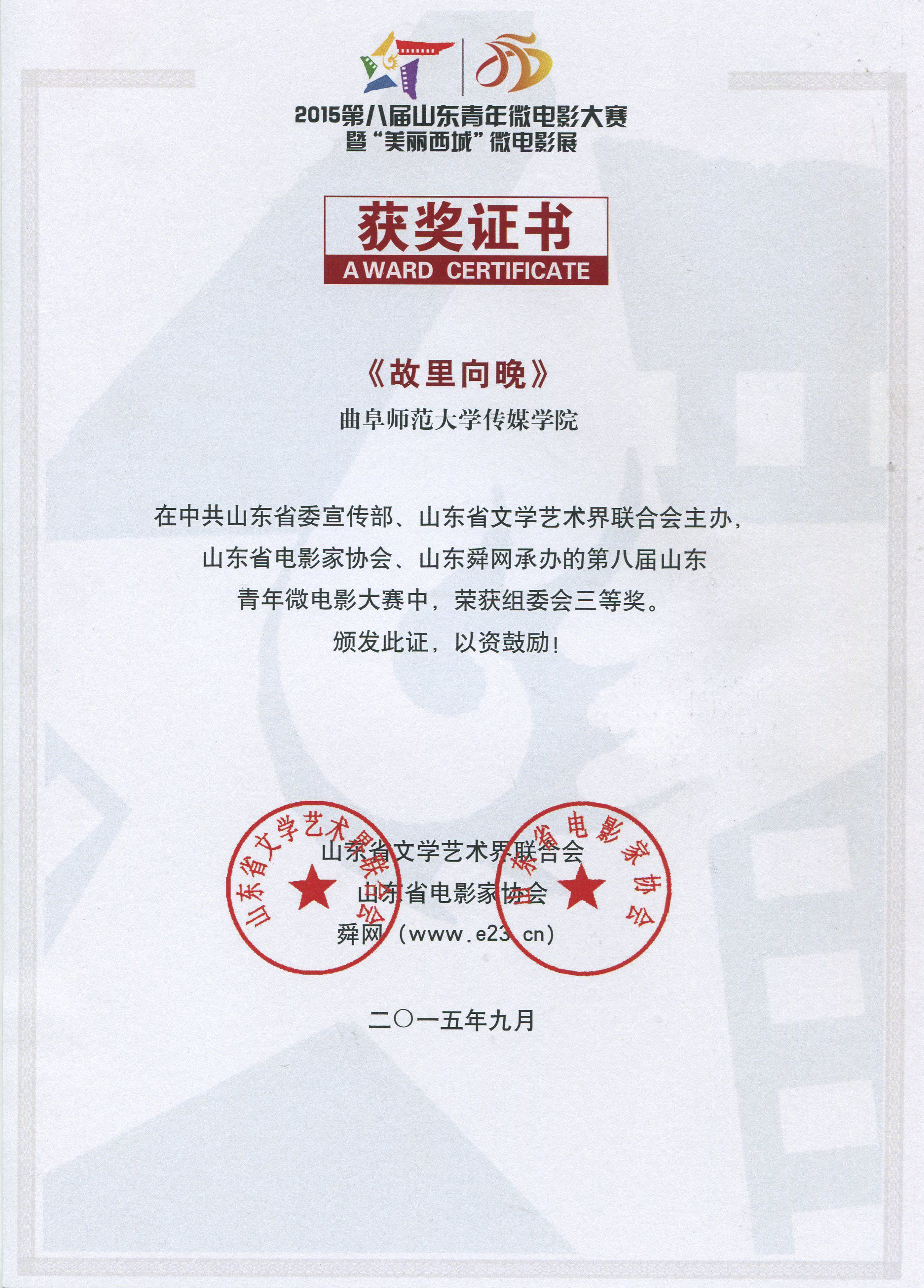 第八届山东青年微电影大赛 证书